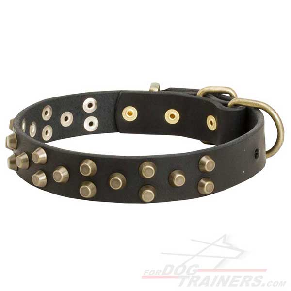 Studded Leather Dog Collar