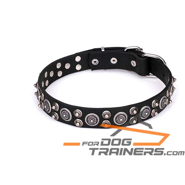 Adorned with Studs Leather Dog Collar