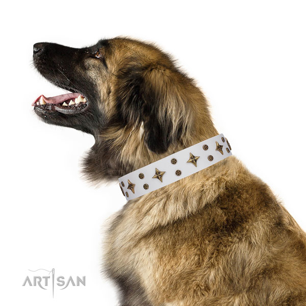 Leonberger remarkable natural genuine leather dog collar with decorations
