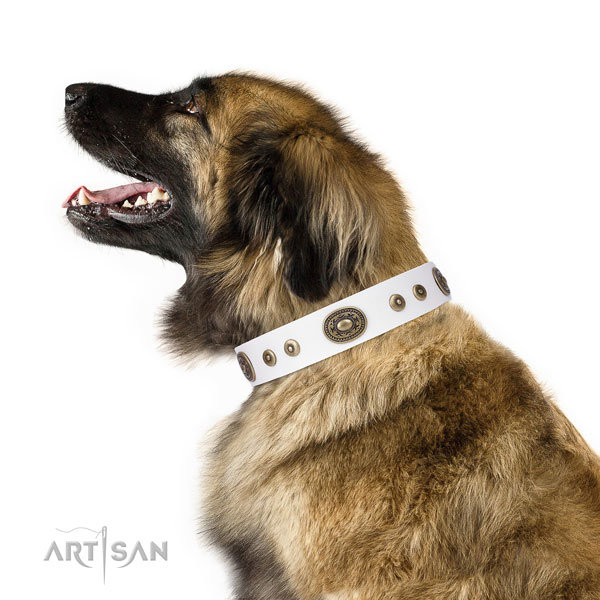 Leonberger handcrafted genuine leather dog collar with embellishments