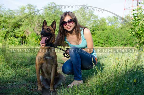 Walking Malinois leather collar with ID tag