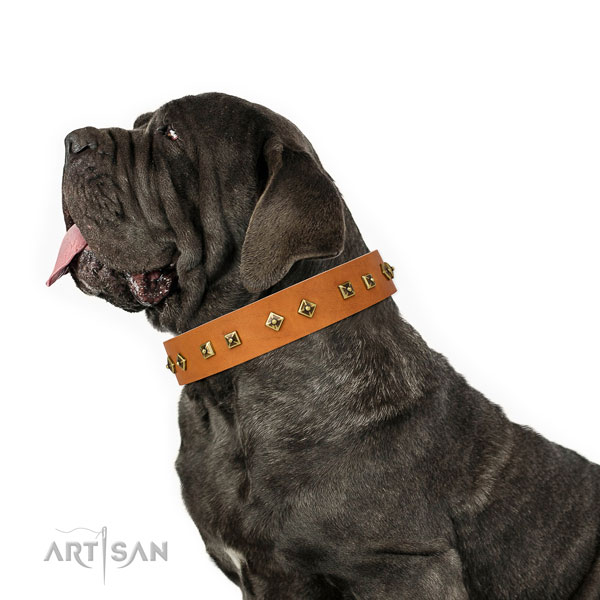 Mastino Neapoletano basic training dog collar of exquisite quality leather