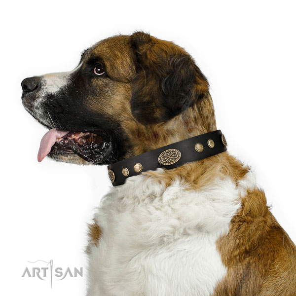 Moscow Watchdog daily use dog collar of remarkable quality natural leather