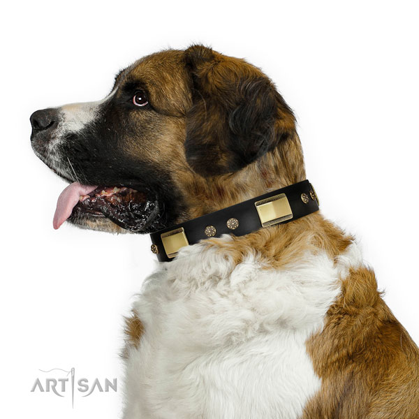 Moscow Watchdog stylish walking dog collar of remarkable quality genuine leather