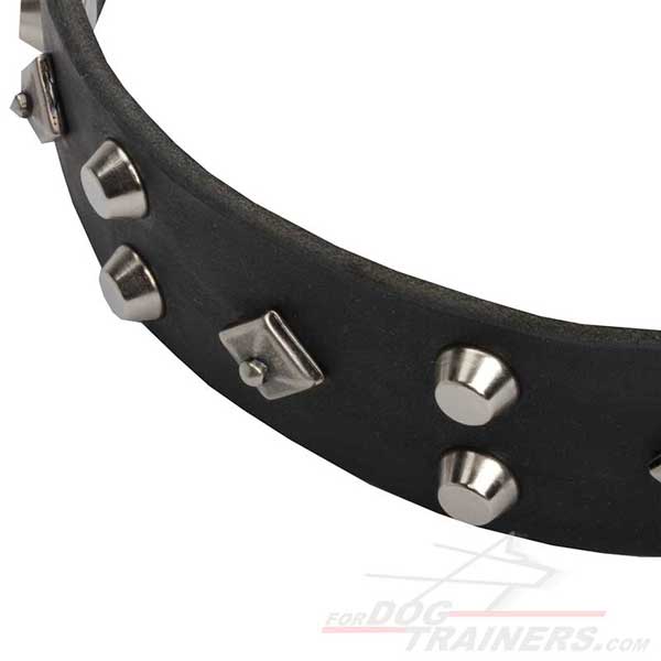 Silver-like Pyramids and Nickel Studs Riveted to Walking Dog Leather Collar