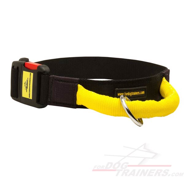 Nylon Dog Collar with handle