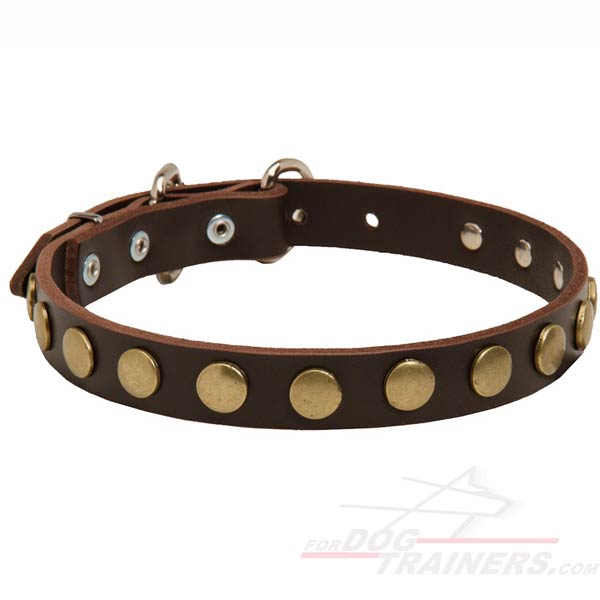 Decorated Leather Dog Collar with Awesome Circles