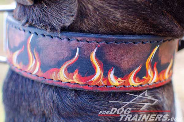 Attractive Painting on Leather Pitbull Collar