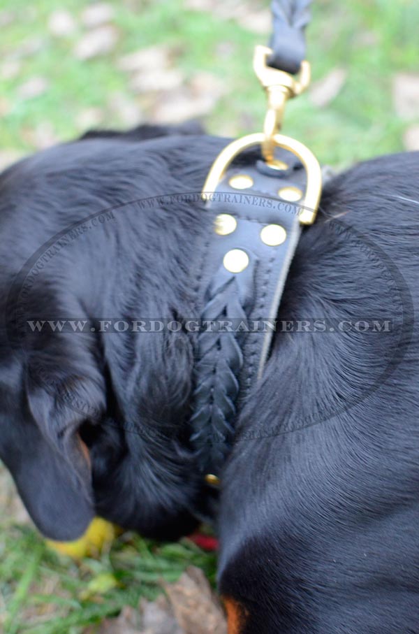 Rottweiler Dog Collar Designer Work - Exclusive