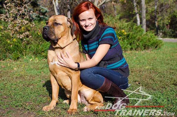 Professional Leather Choke Collar for Cane Corso Training