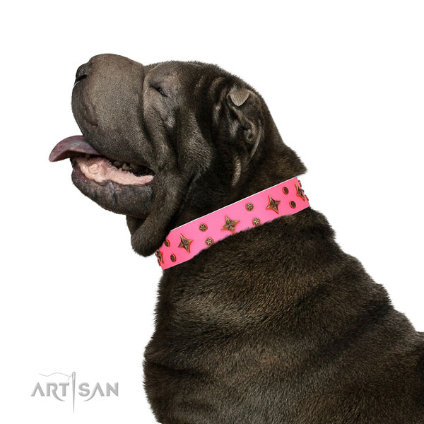 Shar Pei decorated full grain leather dog collar with embellishments