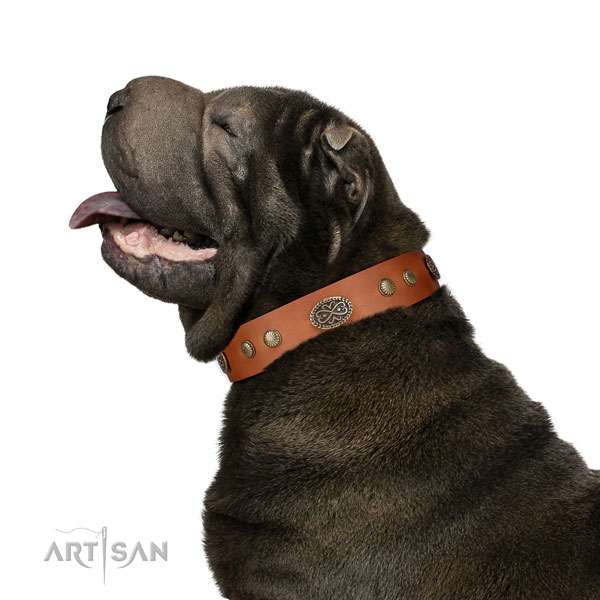 Shar Pei walking dog collar of exquisite quality leather