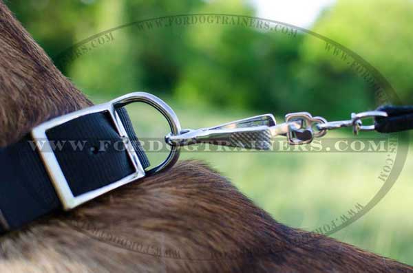 Rust-proof Nickel Buckle and D-ring