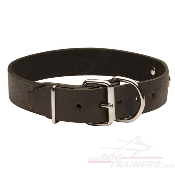 Leather Dog Collar with Buckle and D-ring