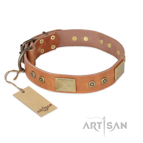 Tan leather dog collar with versatile studs