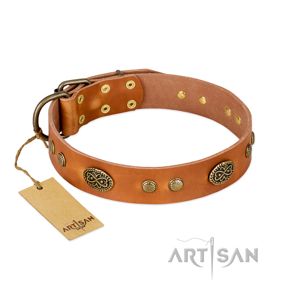 Tan leather dog collar with reliably attached studs