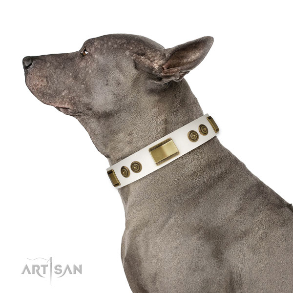 Thai Ridgeback handy use dog collar of soft genuine leather