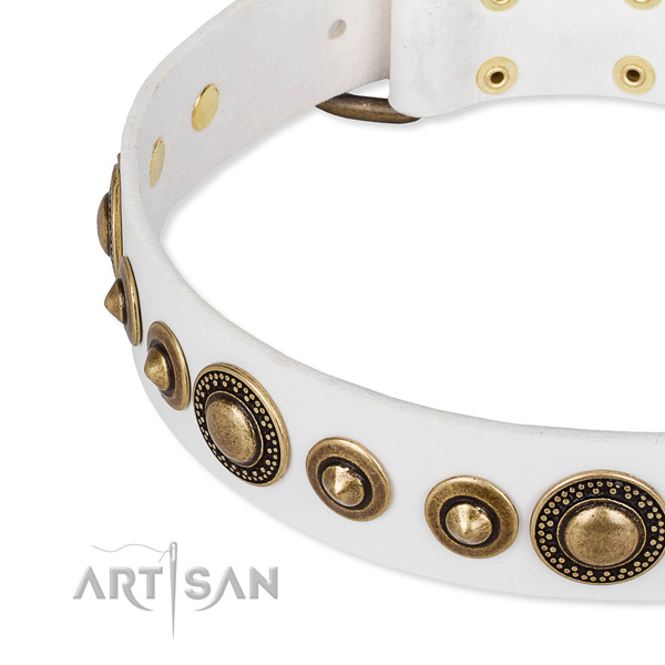 White leather dog collar with secured studs