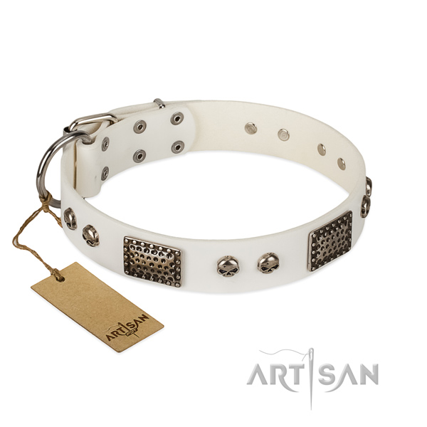 White leather dog collar for daily usage