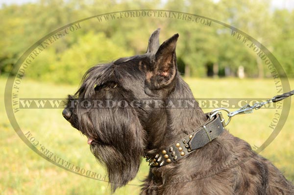 Durable Leather Dog Collar