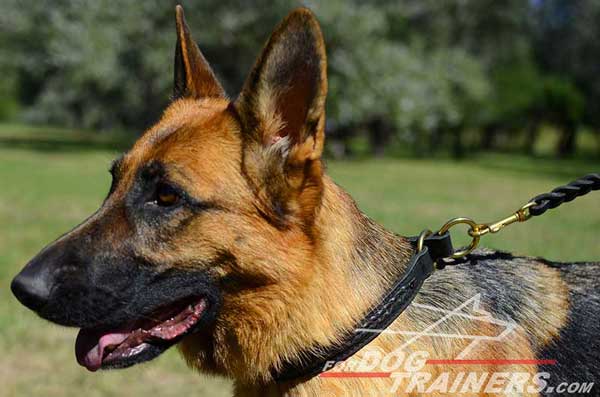 Leather Choke Dog Collar Braided Ideal for Behavior Correction In GSD