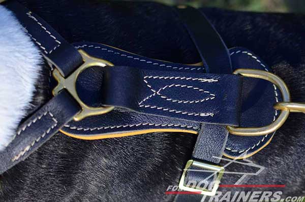 Leather Back Plate of Nappa Padded Royal Bull Terrier Harness