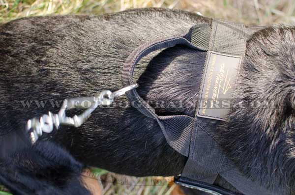 Nylon Harness with back plate