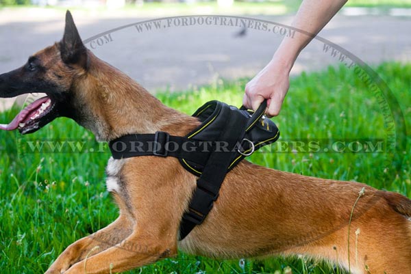 Nylon Belgian Malinois Harness with handle