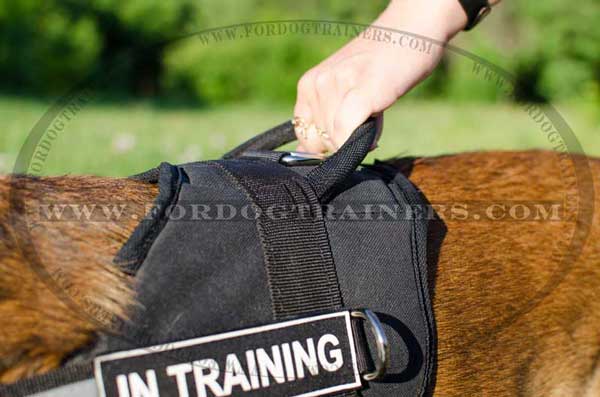 Extra strong nylon harness for Malinois