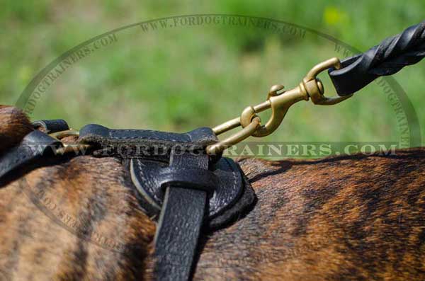 D-ring for secure leash attachment