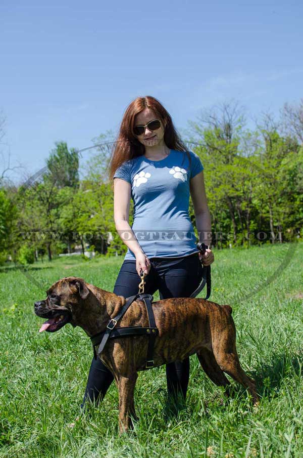 Strong Leather Harness for Pulling