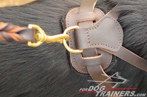 Brass D-Ring of German Shepherd Harness Leather Padded