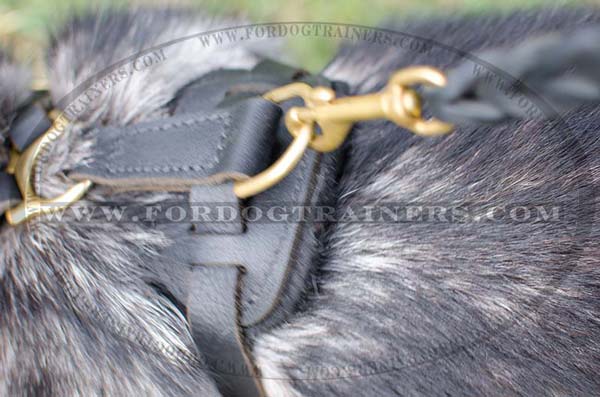 Rustproof hardware of Leather Siberian Husky Harness