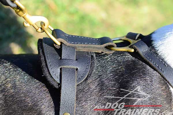 Training Leather Bull Terrier Harness Padded Work Dog Supply