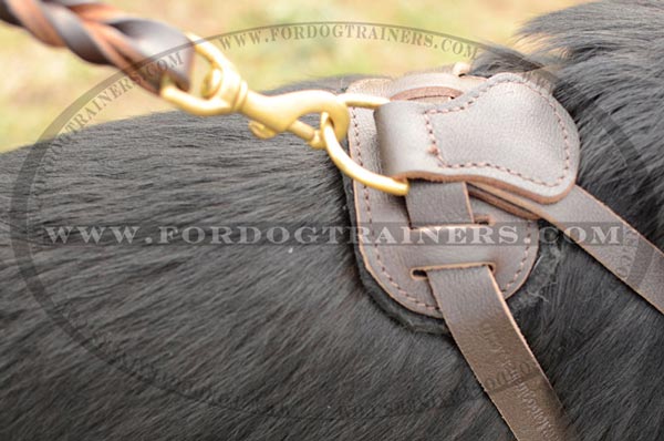 Durable Brass D-Ring on German Shepherd Harness Leather Adjustable