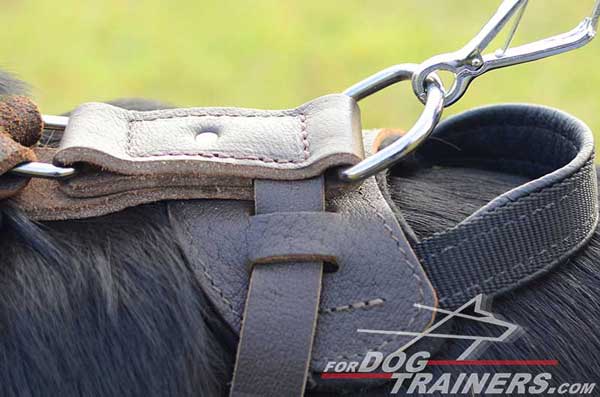 Nickel D-Ring on German Shepherd Harness Leather Dog Training Supply