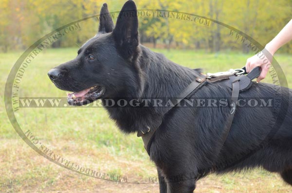 Durable German Shepherd Harness Leather with Comfy Handle