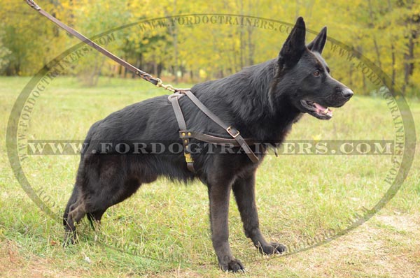 Durable Pulling German Shepherd Harness Leather Reliable