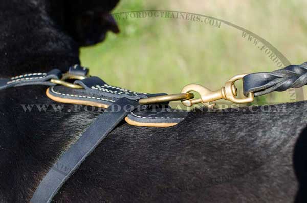 Luxury style leather Great Dane harness with rust resistant brass hardware