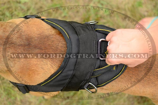 Pulling nylon Pitbull harness with comfrotable handle