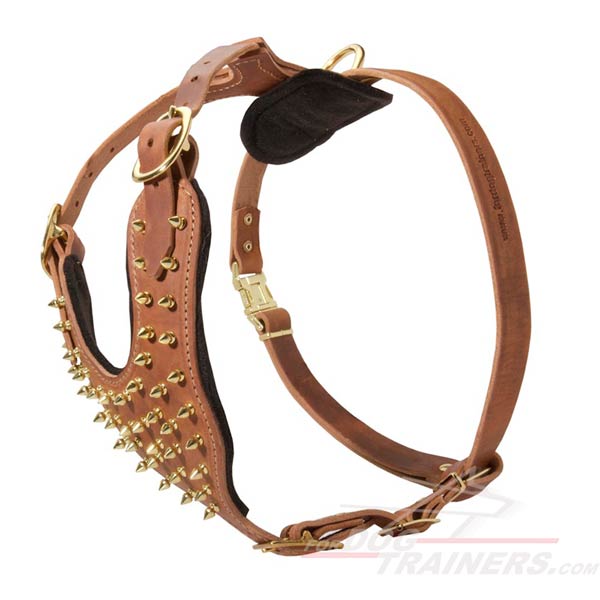 Leather Dog Harness Studded with brass Spikes