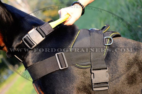 Side Rings and Buckle of Nylon Doberman Harness