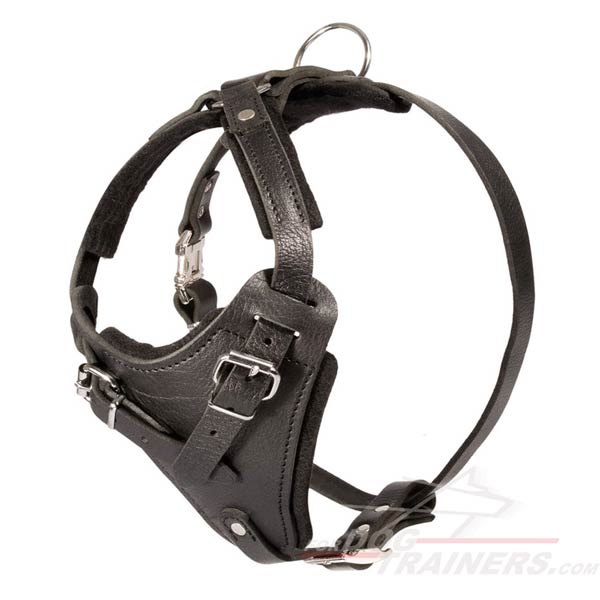 Leather Dog Harness for Training