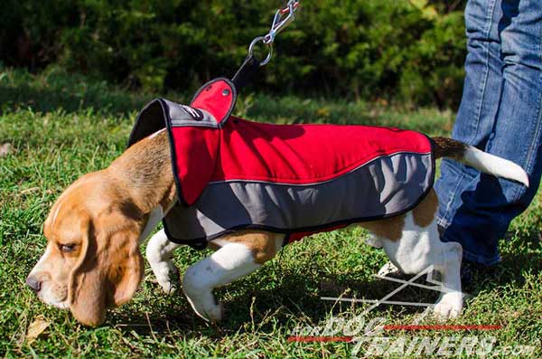 Dog Nylon Harness Easy To Adjust With Touch Fastener for Beagle