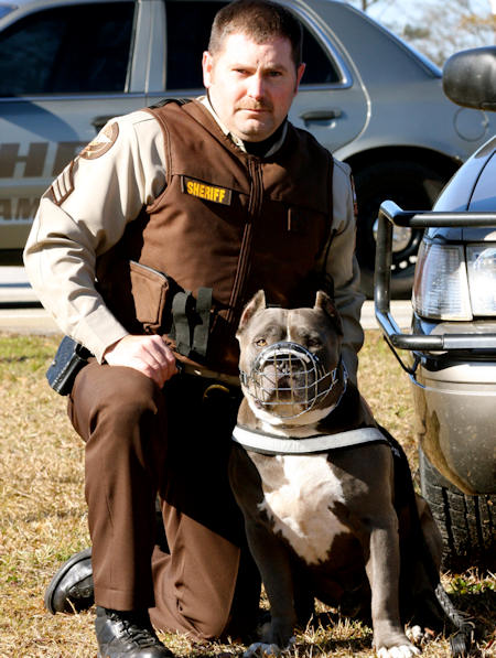 Pitbull Nylon Dog harness-Working/Tracking Dog Harness -H6 PLUS