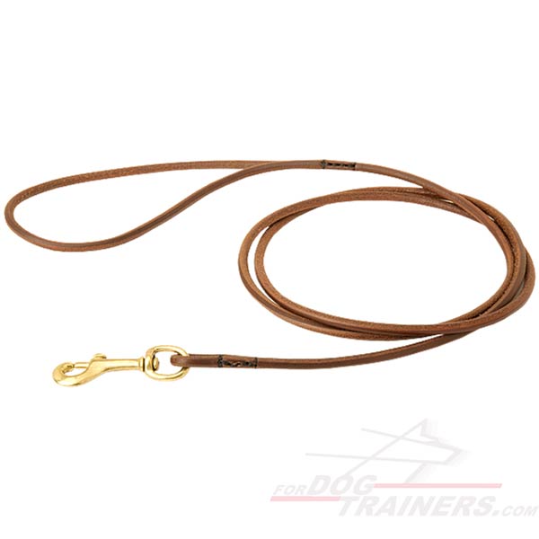 Handcrafted leather dog leash