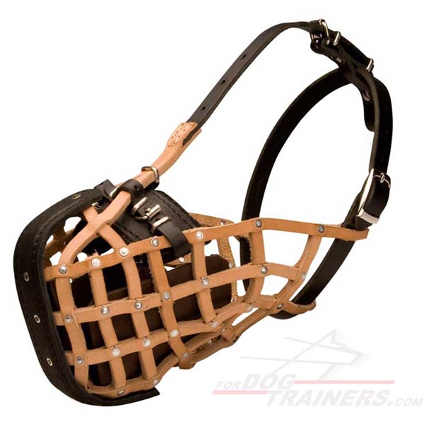 Extra comfortable Attack Training Dog Muzzle