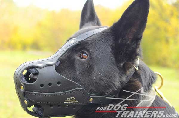 Durable Leather German Shepherd Muzzle Agitation Training Padded