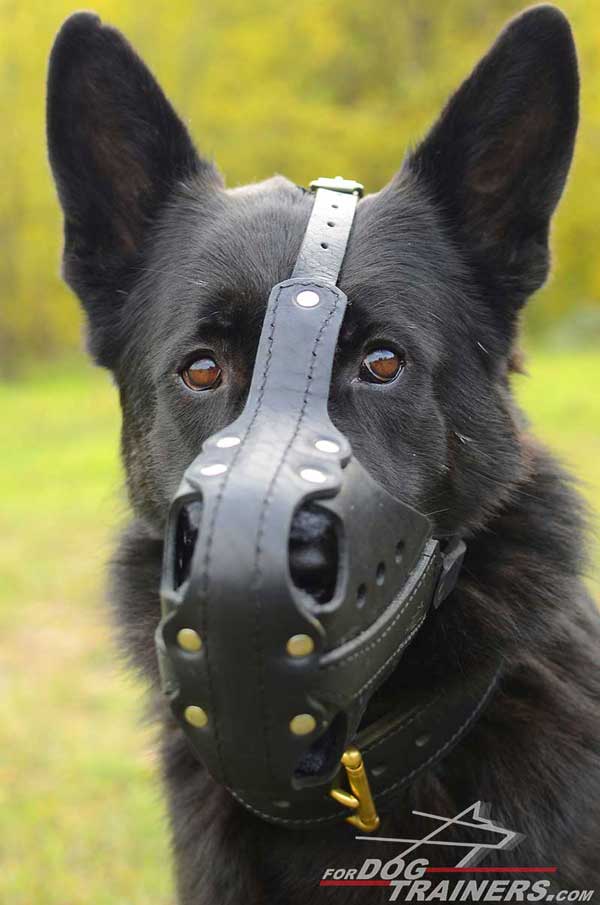 Riveted Leather German Shepherd Muzzle for Agitation Training