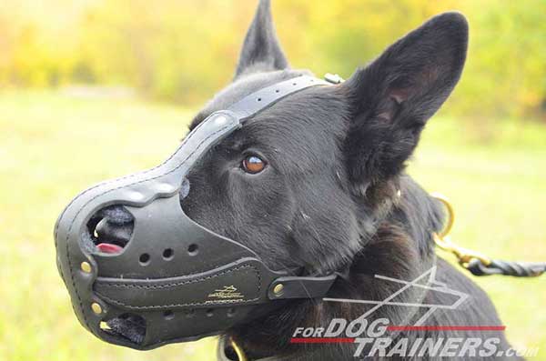 Agitation Training Leather German Shepherd Muzzle